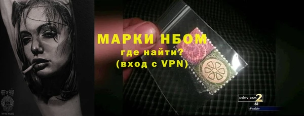 стаф Сосновоборск