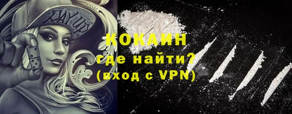 стаф Сосновоборск