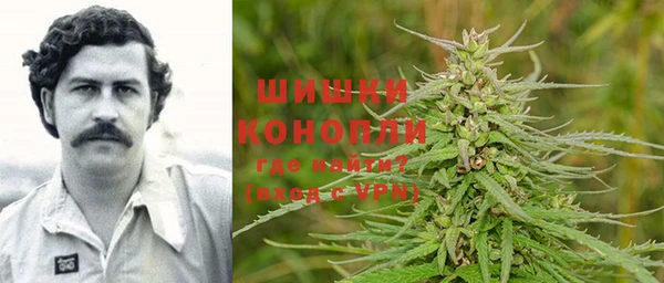 стаф Сосновоборск