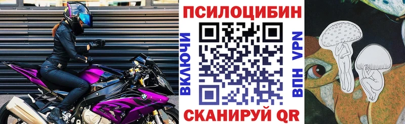 Галлюциногенные грибы GOLDEN TEACHER Купить Сураж